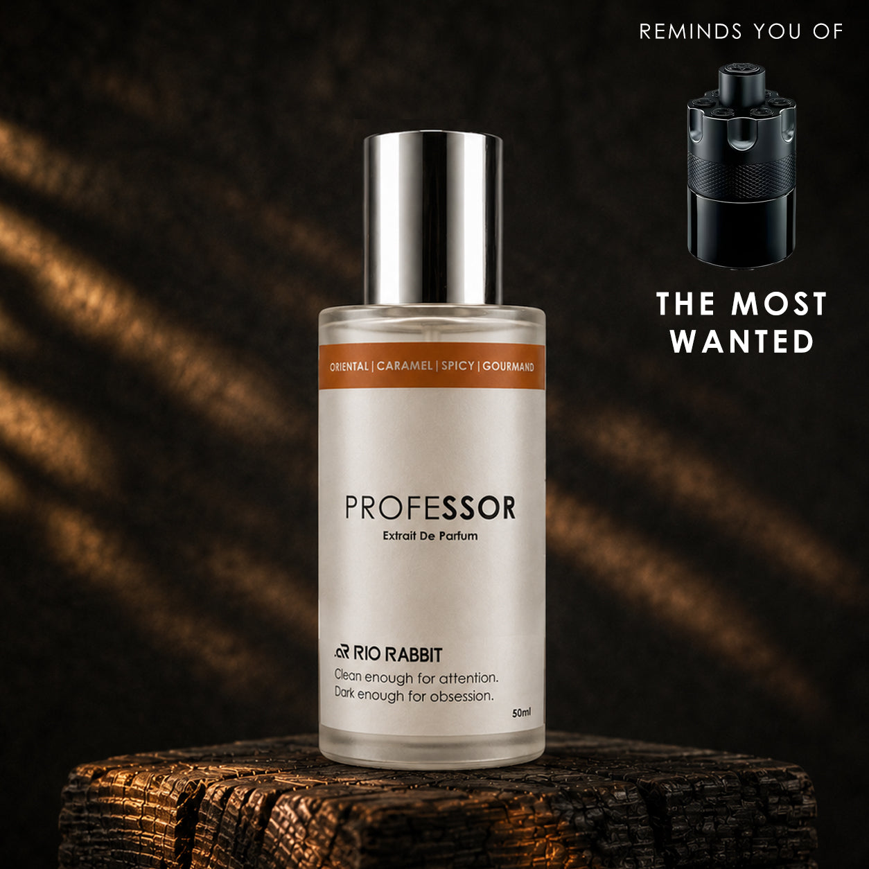 PROFESSOR – RioRabbit