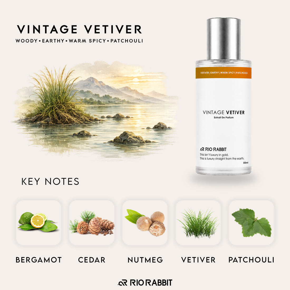 VINTAGE VETIVER